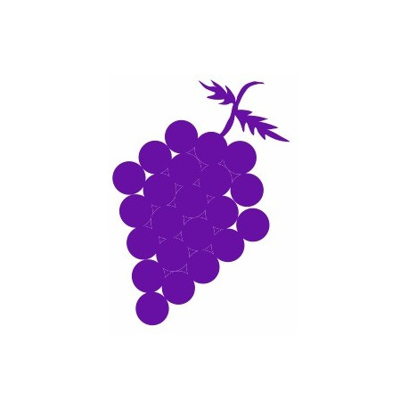 Sticker - Raisin REFG999