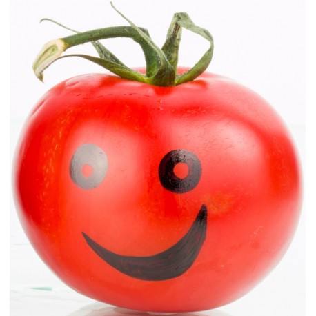 sticker fruit rigolo tetine