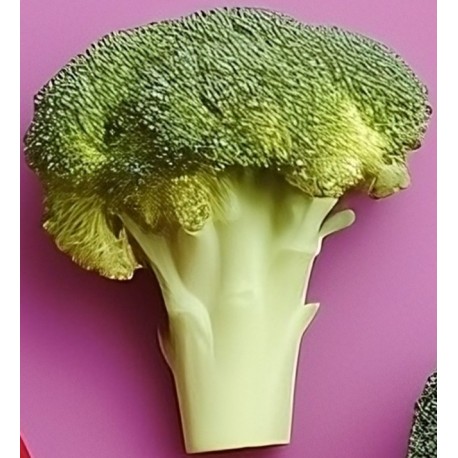 sticker fruit rigolo avocat