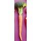 stickers legume rigolo brocoli