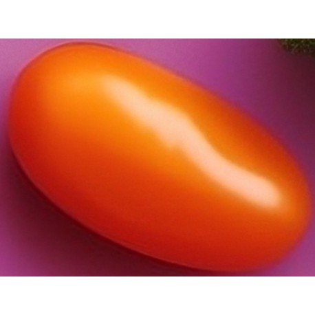 stickers fruit rigolo chenille