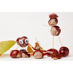 stickers fruit rigolo lunette de soleil