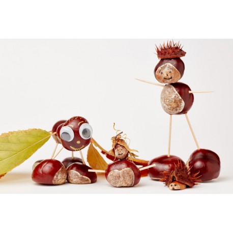 stickers fruit rigolo lunette de soleil