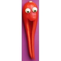 stickers fruit rigolo pamplemousse