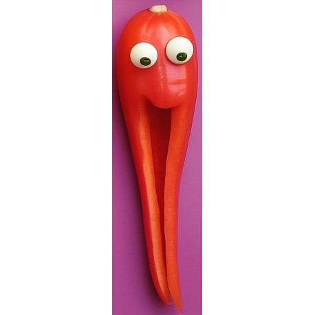 stickers fruit rigolo pamplemousse