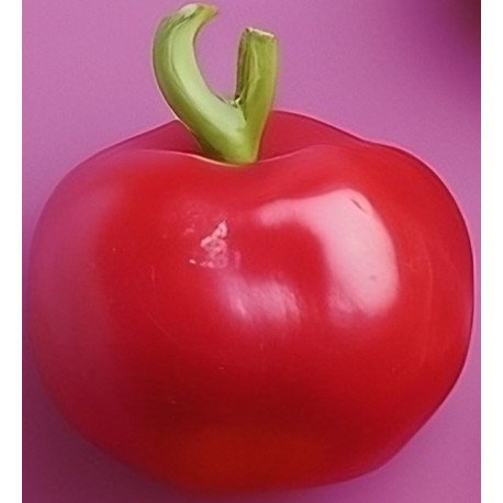 stickers fruit rigolo poivron jaune