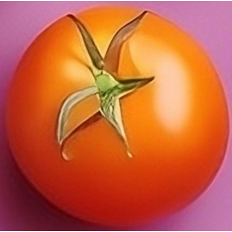 stickers fruit rigolo rouge lunette