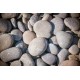 stickers galet decoration