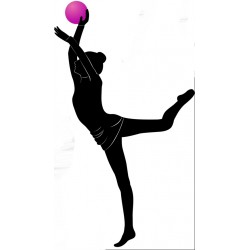 autocollants gym chambre