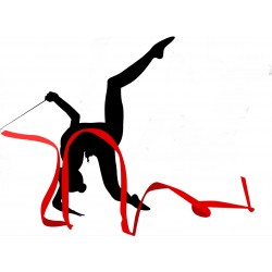 autocollants gym chambre fille