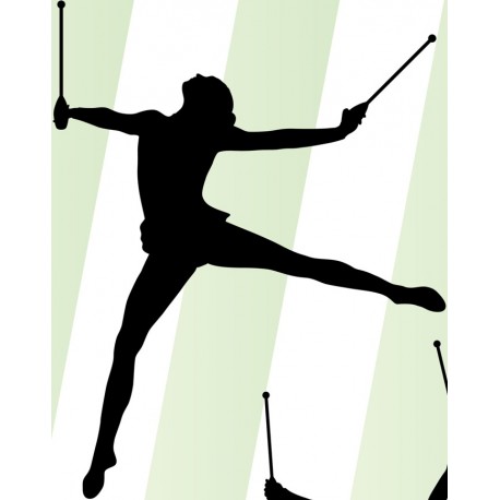 autocollants muraux gymnastique deco