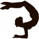 stickers gymnastique deco fille