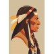 sticker mural indien decoration
