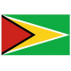Sticker - Drapeau Guyane REFG875