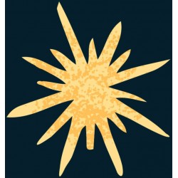 adhesif etoile pas cher