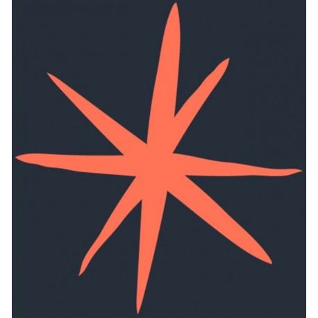 autocollant mural etoile decoratif