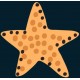 sticker etoile en cercle