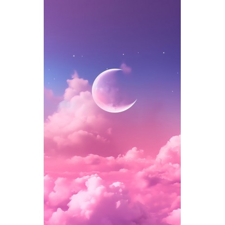 stickers muraux lune noir blanc