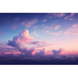 sticker mural beau ciel rose bleu