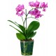 autocollant orchidee deco