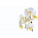 autocollants muraux orchidee