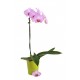 sticker orchidee salon