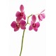 stickers muraux orchidee decoration
