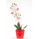 stickers orchidee decoration