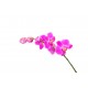 stickers orchidee deco salon