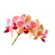 stickers orchidee jaune