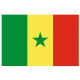 Sticker - Drapeau Sénégal REFG920