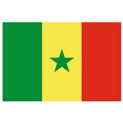 Sticker - Drapeau Sénégal REFG920