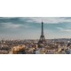 stickers paris violet