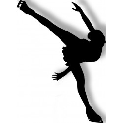 autocollant mural patinage pas cher