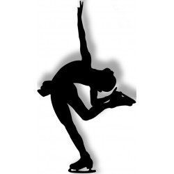 autocollant patinage bleu noir