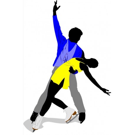 sticker patinage decoration