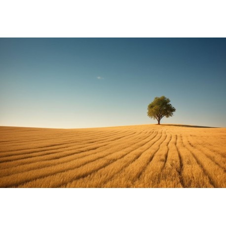 autocollants muraux paysage montagne