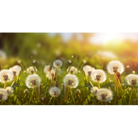 sticker paysage montagne