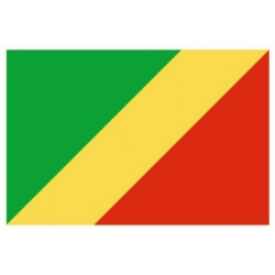 Sticker - Drapeau République du Congo REFG953