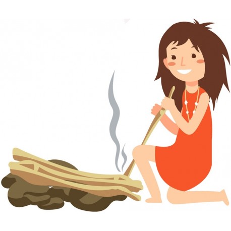 autocollants muraux deco theme prehistoire