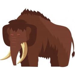 autocollants muraux hutte deco chambre garcon