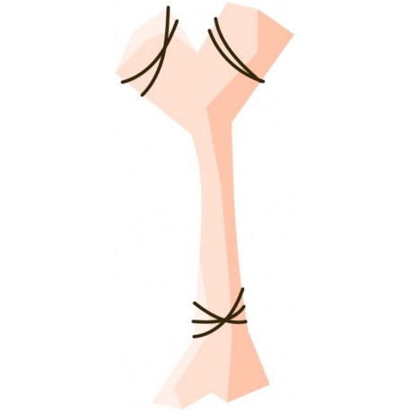 sticker deco chambre theme prehistoire