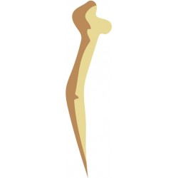 sticker mural mammouth