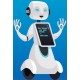 sticker robot serveur