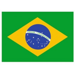 Sticker - Drapeau Brésil REFG142