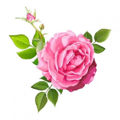 autocollant mural fleur rose fushia