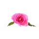 autocollant mural fleur rose geant