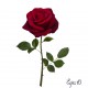 autocollant mural rose decoratif