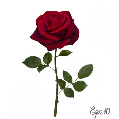 autocollant mural rose decoratif