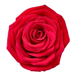 autocollant mural rose decoration